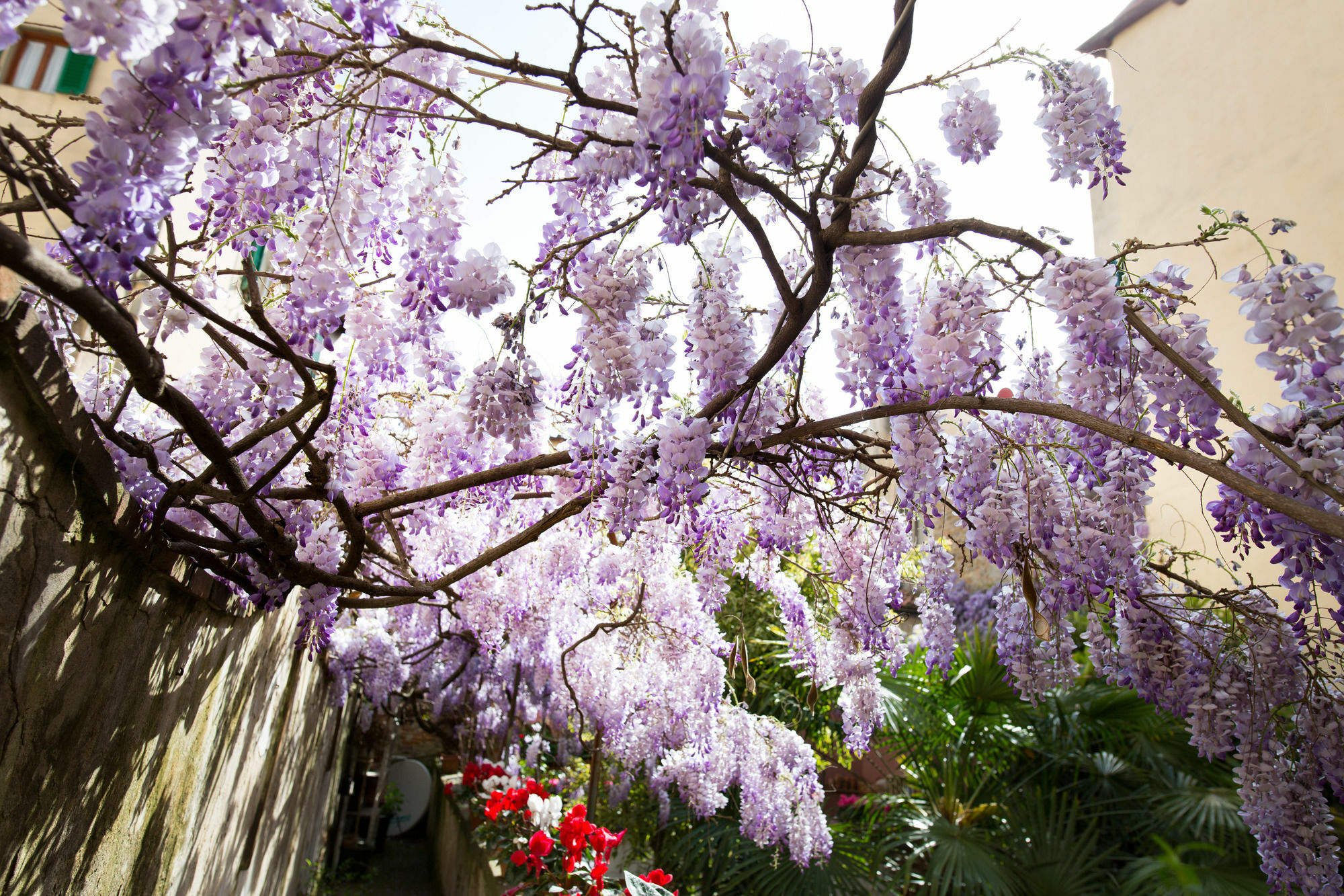 Locanda Orchidea Florencia Exterior foto