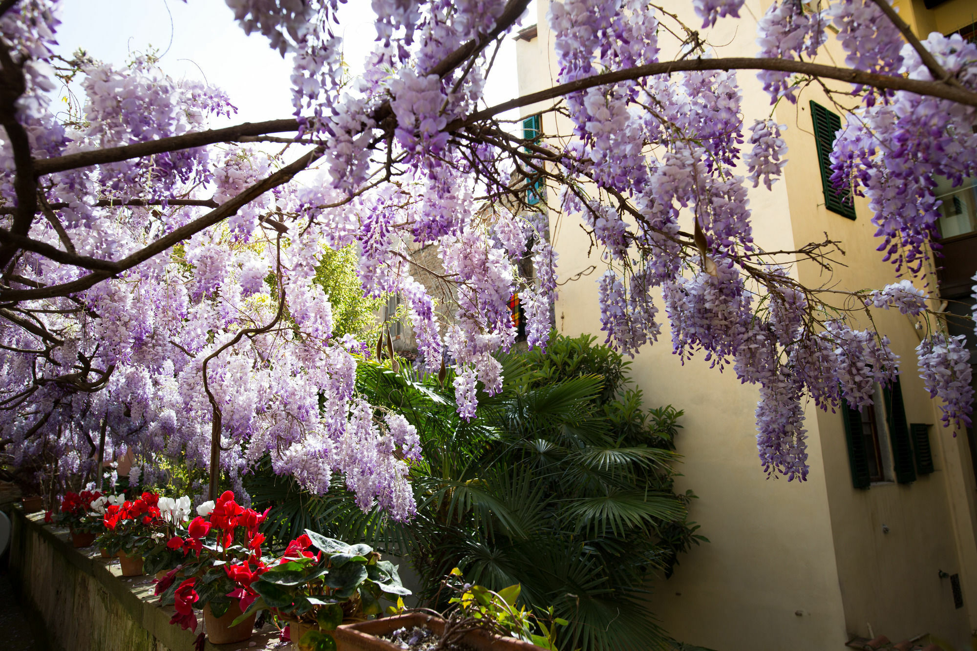 Locanda Orchidea Florencia Exterior foto